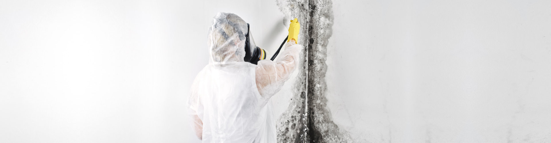 A professional disinfector in overalls processes the walls from mold.