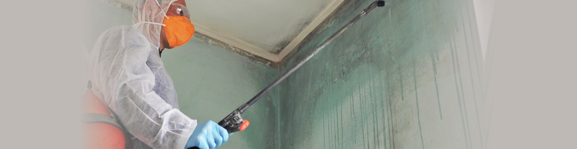 Remediation and Mold Removal Specialist